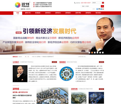 深圳波特集团官方网站建设项目