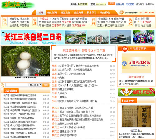 桃江网地方性门户网站建设项目